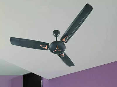 बहुत ही ज्यादा डिमांड में चल रहे हैं ये Ceiling Fan, डेकोरेटिव डिजाइन में मौजूद