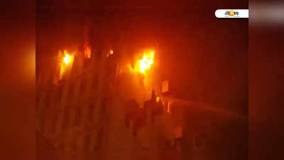Kolkata Fire: সুস্থ হতে এসে বাংলাদেশের বৃদ্ধা পুড়ে মৃত