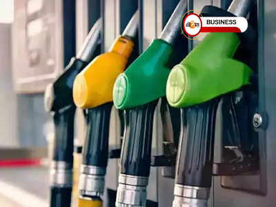 Petrol Diesel Price Today : অপরিশোধিত তেলের দাম আটকে 110 ডলারে! কলকাতায় পেট্রল কত?