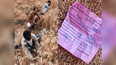 Russia Ukraine war: रूस-यूक्रेन जंग से भारतीय किसानों की चांदी, MSP से ज्‍यादा मिल रही कीमत, सरल शब्‍दों में समझिए पूरी गण‍ित