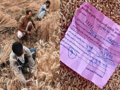 Russia Ukraine war: रूस-यूक्रेन जंग से भारतीय किसानों की चांदी, MSP से ज्‍यादा मिल रही कीमत, सरल शब्‍दों में समझिए पूरी गण‍ित 