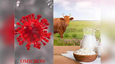COVID-19 Fact Check: क्या गाय का दूध पीने से कोरोना वायरस खत्म हो सकता है? जानिए अमेरिकी वैज्ञानिकों का क्या है दावा