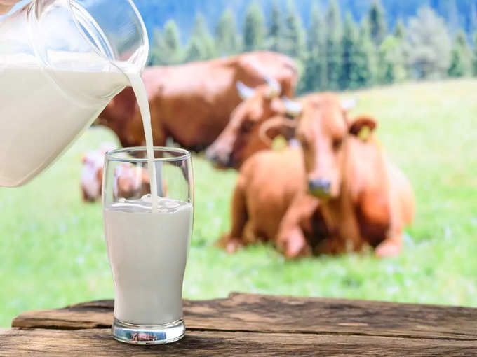 गाय के दूध में ताकतवर प्रोटीन लैक्टोफेरिन