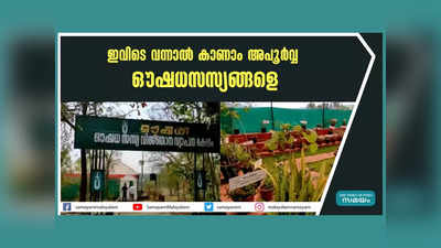 ഇവിടെ വന്നാൽ കാണാം അപൂർവ്വ ഔഷധ സസ്യങ്ങളെ, വീഡിയോ