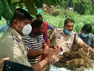 ട്രെയിനിൽ കഞ്ചാവുമായെത്തി; ഒറ്റപ്പാലത്ത് ഒഡീഷ സ്വദേശി പിടിയിൽ, വീഡിയോ കാണാം