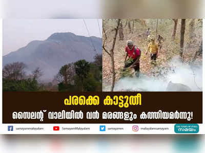 പരക്കെ കാട്ടുതീ; സൈലൻ്റ് വാലിയിൽ വൻ മരങ്ങളും കത്തിയമർന്നു!