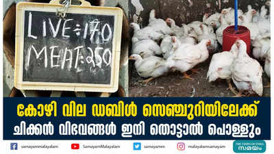 കോഴി വില ഡബിള്‍ സെഞ്ചുറിയിലേക്ക്‌  ചിക്കന്‍ വിഭവങ്ങള്‍ ഇനി തൊട്ടാല്‍ പൊള്ളും