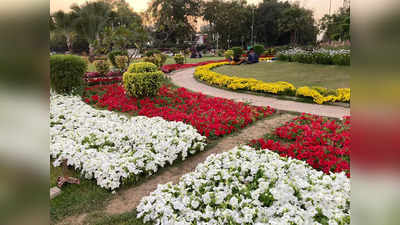 हॉर्टिकल्चर विभाग ने बदला दिल्ली का नजारा, रंग-बिरंगे फूलों गुलजार हुईं NDMC की सड़कें और गोल चक्कर