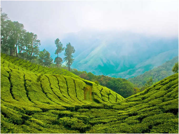 ಇಡುಕ್ಕಿ