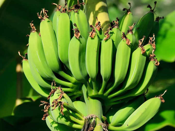 Raw Banana Benefits