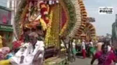 கொளஞ்சியப்பர் கோவில் திருவிழா; காவடி எடுத்து வந்த பக்தர்கள்!