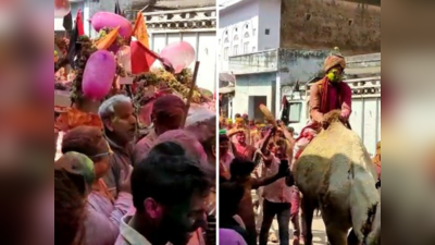 Holi Special News: सीकर के रींगस में अनोखी धुलंडी, बारात के साथ निकली शव यात्रा, लगे वंदे मातरम के जयकारे