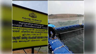 ന്യായവിലക്ക് പിടയ്ക്കുന്ന മീനുകള്‍; കാരാപ്പുഴയിലെ കൂട് മത്സ്യകൃഷി വിളവെടുപ്പ്, വീഡിയോ