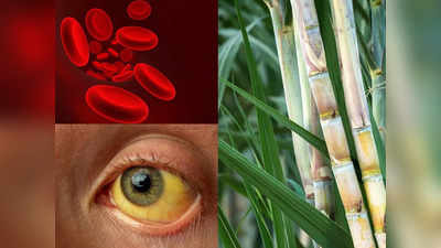 Sugarcane Juice: खून की कमी-पीलिया का इलाज है इस पौधे का रस, Ayurveda डॉक्टर ने बताए 6 जबरदस्त फायदे