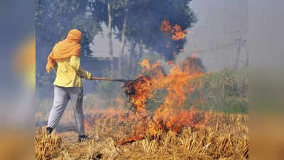 Stubble Burning: ये है पराली जलाने से रोकने का फॉर्मूला, दिल्ली की हवा होगी साफ, किसानों को भी फायदा
