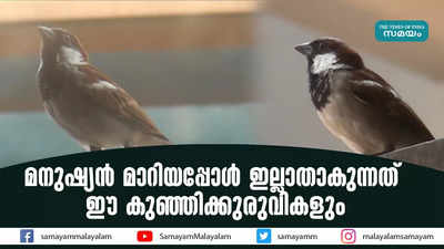 മനുഷ്യന്‍ മാറിയപ്പോള്‍ ഇല്ലാതാകുന്നത് ഈ കുഞ്ഞിക്കുരുവികളും