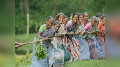 காணி பழங்குடிகள் - மேற்கு தொடர்ச்சி மலை பூர்வகுடிகளின் அற்புத வாழ்க்கை!