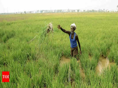 PM Kisan 11th Installment: लाभार्थियों की लिस्ट में अपना नाम इस तरह करें चेक, रजिस्ट्रेशन करना है तो जानिए प्रोसेस