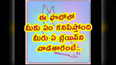 ఈ ఫొటోలో మీకు ఏం కనిపిస్తోంది.. మీరు ఏ బ్రెయిన్‌ని వాడతారంటే.. 