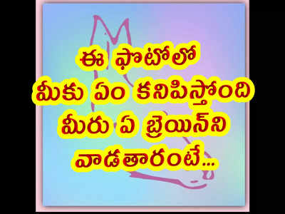 ఈ ఫొటోలో మీకు ఏం కనిపిస్తోంది.. మీరు ఏ బ్రెయిన్‌ని వాడతారంటే..