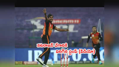 SRH టీమ్‌కి బూస్ట్.. నటరాజన్ వేగానికి విరిగిన స్టంప్ 