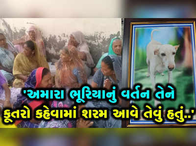 મહેસાણા: શેરીના શ્વાનનું મોત, હિબકે ચઢ્યું આખું ગામ