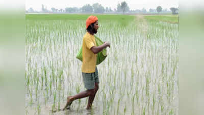 PM Kisan 11th installment: पीएम किसान से जुड़ी चाहिए जानकारी या करनी हो शिकायत तो यहां करें कॉल