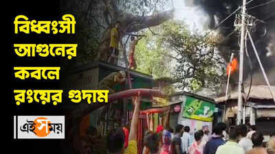 Fire at Kolkata: বিধ্বংসী আগুনের কবলে রংয়ের গুদাম