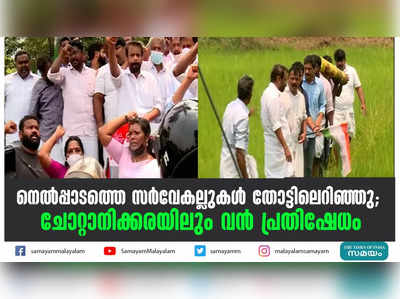 നെല്‍പ്പാടത്തെ സര്‍വേകല്ലുകള്‍ തോട്ടിലെറിഞ്ഞു; ചോറ്റാനിക്കരയിലും വന്‍ പ്രതിഷേധം