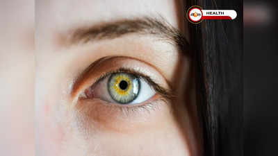 Eye Health: বয়সকাল পর্যন্ত দৃষ্টি থাকবে ভালো! শুধু পাতে রাখুন এই খাবার