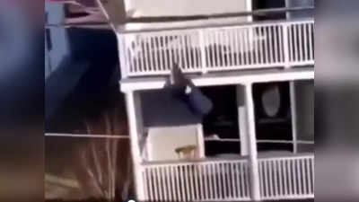 Viral Video: ಬಾಲ್ ಕ್ಯಾಚ್ ಹಿಡಿಯುವಾಗ ಮಹಡಿಯಿಂದ ಬಿದ್ದ ವ್ಯಕ್ತಿ!: ಎದೆ ಧಗ್ ಎನ್ನುವಂತೆ ಮಾಡುವ ದೃಶ್ಯವಿದು