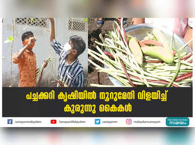 പച്ചക്കറി കൃഷിയിൽ നൂറുമേനി വിളയിച്ച് കുരുന്നു കൈകൾ