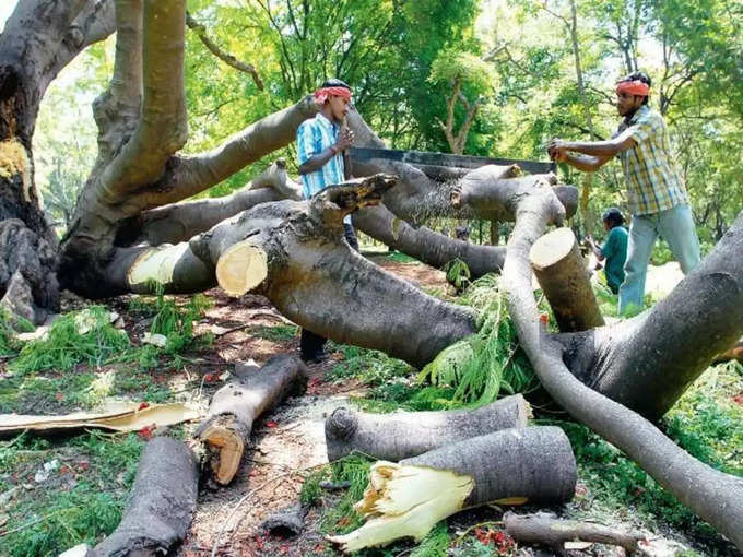 ​വിളവെടുപ്പില്‍ ശ്രദ്ധിക്കേണ്ട കാര്യങ്ങള്‍