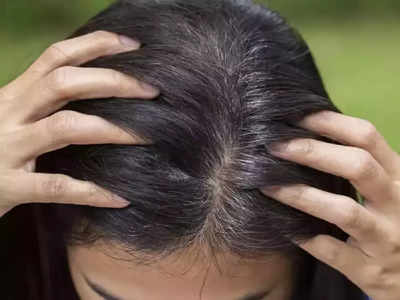 <strong>Herbal Oil For White Hair : </strong>ताबडतोब लावायला घ्या ‘हे’ घरगुती तेल, वयाच्या 50शी नंतरही येणार नाही केस पांढरे व पातळ होण्याची समस्या..! 