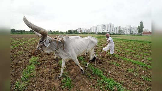 ખેડૂતોને મળશે કમાણીનું સાધન, જાણો “SKY Yojana” (Surya Shakti Kisan Yojana)ની વિશેષતા