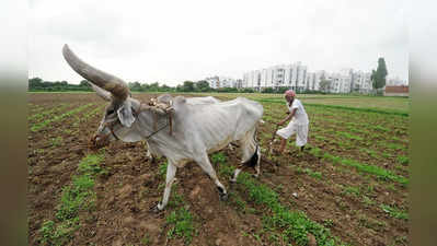 ખેડૂતોને મળશે કમાણીનું સાધન, જાણો “SKY Yojana” (Surya Shakti Kisan Yojana)ની વિશેષતા