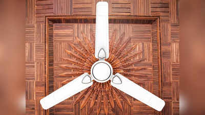 तेज हवा के साथ घर के इंटीरियर को भी शानदार लुक देंगे यह टॉप क्लास के डिजाइनर सीलिंग फैन