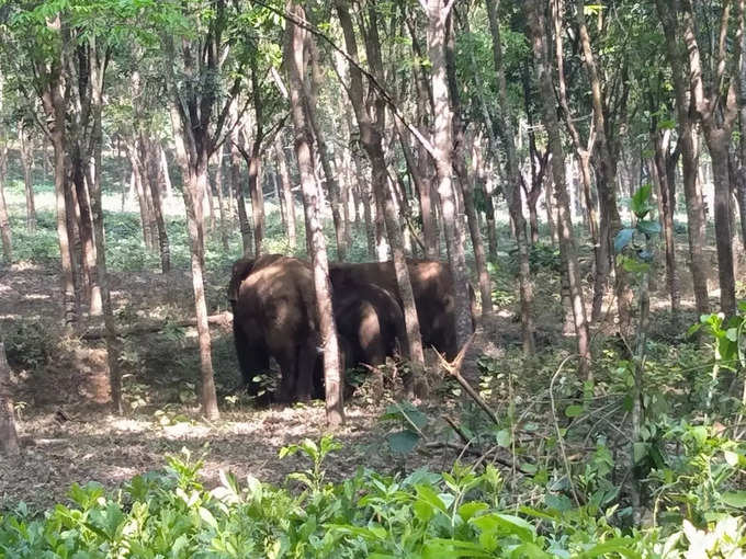 ​ഏതുസമയത്തും മടങ്ങിയെത്തും