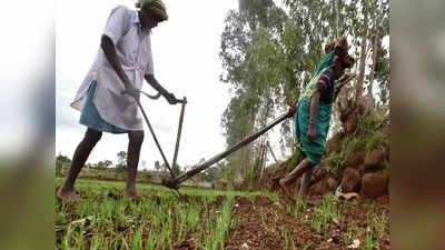 PM Kisan 11th installment: किसानों को कब मिलेगी पीएम किसान योजना की अगली किस्त? जानिए क्या आ रही खबर