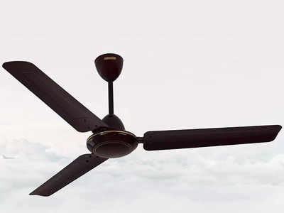 Fan For Ceiling : फड़ फड़ की आवाज नहीं करेंगे ये सीलिंग फैन और पूरे कमरे में देंगे हवा का तेज झोंका