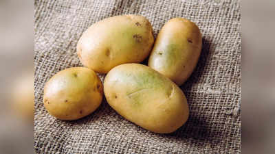 Green Potatoes: बाजार से कभी न खरीदें हरे रंग का आलू, हो सकता है जहरीला, एक्‍सपर्ट ने बताया खाएं या नहीं