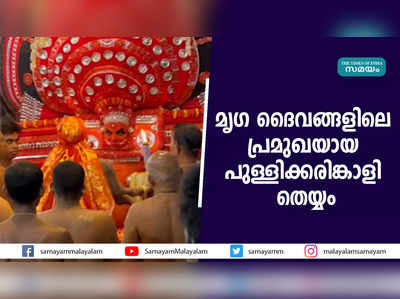 മൃഗ ദൈവങ്ങളിലെ പ്രമുഖയായ  പുള്ളിക്കരിങ്കാളി തെയ്യം