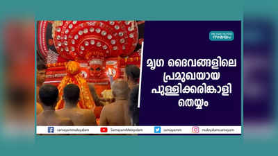 Kannur: മൃഗ ദൈവങ്ങളിലെ പ്രമുഖയായ പുള്ളിക്കരിങ്കാളി തെയ്യം, വീഡിയോ കാണാം