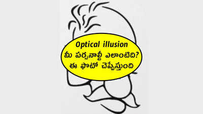 Optical illusion: మీ పర్సనాల్టీ ఎలాంటిది.. ఈ ఫొటో చెప్పేస్తుంది