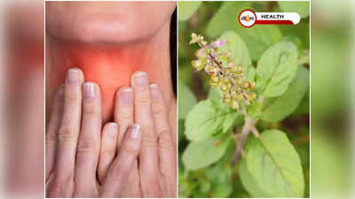 Tulsi Leaves Benefits: তুলসী পাতায় জব্দ থাইরয়েড! কী ভাবে খাবেন?