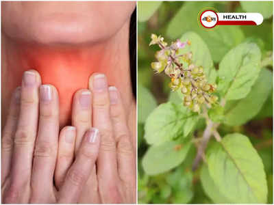 Tulsi Leaves Benefits: তুলসী পাতায় জব্দ থাইরয়েড! কী ভাবে খাবেন?