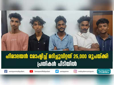 ഹിമാലയൻ മോഷ്ടിച്ച് മറിച്ചുവിറ്റത് 25,000 രൂപയ്ക്ക്!