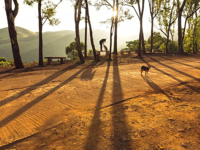 केम्म्रगुंडी, कर्नाटक - Kemmangundi, Karnataka