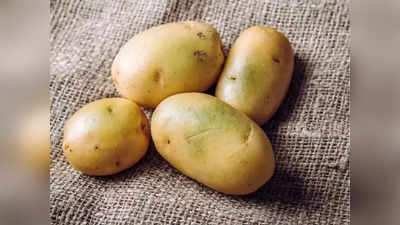 <strong>Potatoes Quality check :</strong> सावधान, कधीच खरेदी करू नका या रंगाचे बटाटे, असू शकतात विषारी, एक्सपर्ट्सनी सांगितली महत्त्वाची माहिती..! 