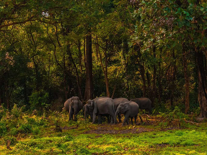 ​ಭೀಮೇಶ್ವರಿ ವನ್ಯಜೀವಿ ಅಭಯಾರಣ್ಯ